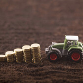 Farmers and business owners seek judicial review on IHT plans